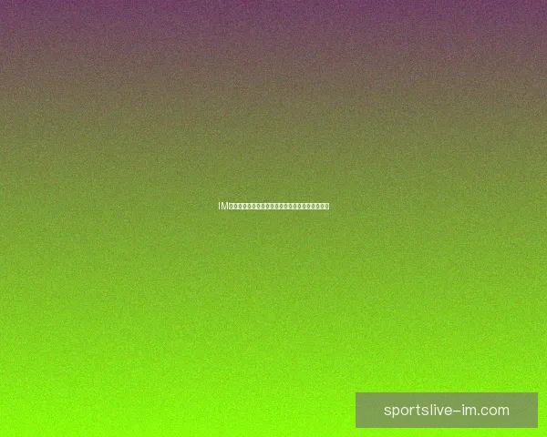 IM体育直播全平台赛事实时观看体验与精彩回放解析