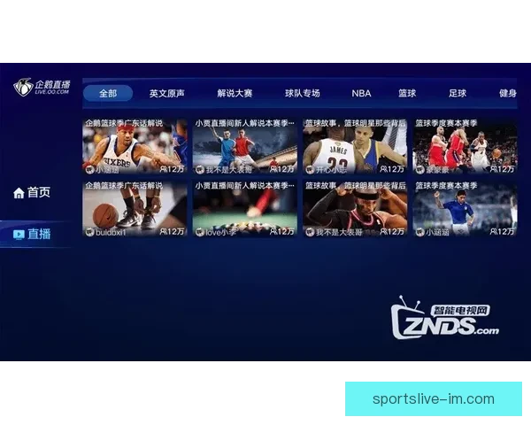 IM体育直播全平台赛事实时观看体验与精彩回放解析